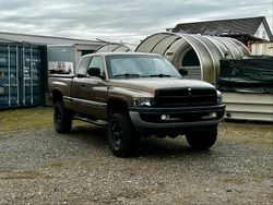 Braun Gebraucht 2001 Dodge Ram Abholung | 8.900 €