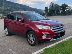 Rot Gebraucht 2019 Ford Kuga SUV | 16.000 € (Fairer Preis)