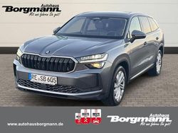 Grau Gebraucht 2024 Skoda Kodiaq Selection SUV | 42.990 € (Guter Preis)