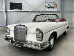 Weiß Gebraucht 1965 Mercedes 300 SE Cabrio | 199.000 €