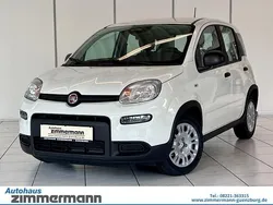 Weiss) (weiss Neu 2024 Fiat Panda Kleinwagen | 14.120 € (Fairer Preis)