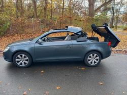 Grau Gebraucht 2007 VW 181 SUV | 4.950 €