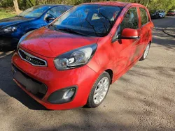 Rot Gebraucht 2013 Kia Picanto Spirit Kleinwagen | 6.500 € (Fairer Preis)