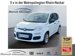 Weiss Gebraucht 2017 Fiat Panda Kleinwagen | 12.989 € (Teuer)