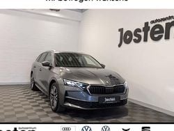 Grau Gebraucht 2024 Skoda Octavia Exclusive Kombi | 32.490 € (Guter Preis)