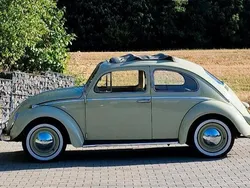 Grün Gebraucht 1960 VW Käfer Kleinwagen | 19.999 €