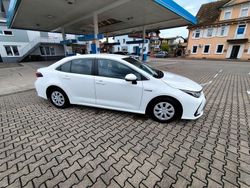 Weiß Gebraucht 2021 Toyota Corolla Limousine | 15.000 € (Etwas zu teuer)