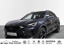 Grau Gebraucht 2023 Cupra Formentor SUV | 33.990 € (Etwas zu teuer)