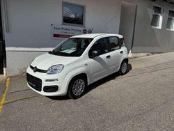 Colore esterno Neu 2024 Fiat Panda Kleinwagen | 15.990 € (Fairer Preis)