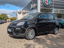 Schwarz Gebraucht 2024 Fiat Panda Kleinwagen | 16.690 € (Teuer)