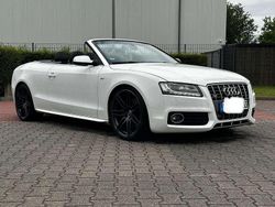 Weiß Gebraucht 2009 Audi S5 Cabriolet Cabrio | 16.500 €