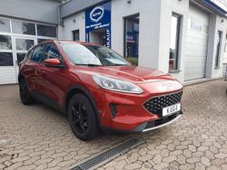 Rot Gebraucht 2021 Ford Kuga Trend SUV | 16.750 € (Superpreis)