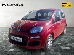 Rot Neu 2025 Fiat Grande Panda Kleinwagen | 12.698 € (Fairer Preis)