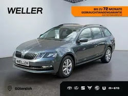 Grau Gebraucht 2019 Skoda Octavia Ambition Kombi | 18.480 € (Guter Preis)