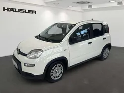 Weiß Gebraucht 2024 Fiat Panda Kleinwagen | 13.990 € (Fairer Preis)