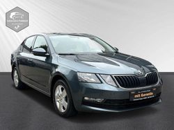 Grau Gebraucht 2019 Skoda Octavia Limousine | 16.990 € (Fairer Preis)