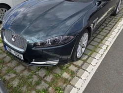 Grün Gebraucht 2014 Jaguar XF Sportbrake S Kombi | 11.000 € (Etwas zu teuer)
