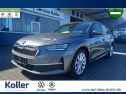 Grau Gebraucht 2024 Skoda Octavia Selection Kombi | 27.770 € (Guter Preis)