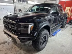 Sheltergrünmet Neu 2025 Ford F-150 Raptor Abholung | 126.850 €