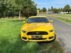 Gelb Gebraucht 2016 Ford Mustang Coupé | 22.900 € (Superpreis)