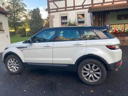 Weiß Gebraucht 2018 Land Rover Range Rover evoque SE SUV | 14.800 €