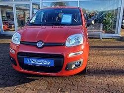 Amore rot Gebraucht 2017 Fiat Panda Kleinwagen | 9.200 € (Etwas zu teuer)