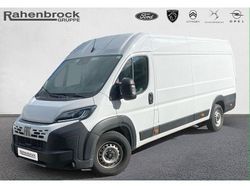 Gelato weiß (weiß) Gebraucht 2024 Fiat Ducato Van | 29.990 €