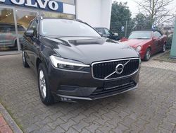 Pine grey Gebraucht 2021 Volvo XC60 Momentum SUV | 28.490 € (Guter Preis)
