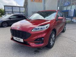 Rot Gebraucht 2024 Ford Kuga ST-Line X SUV | 35.989 € (Fairer Preis)