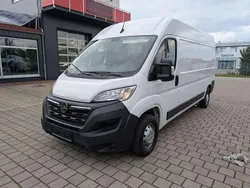 Weiß Gebraucht 2023 Opel Movano Edition Van | 22.000 € (Superpreis)