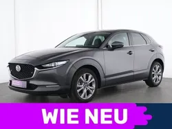Gray Gebraucht 2021 Mazda CX-30 Selection SUV | 25.844 € (Etwas zu teuer)