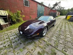 Violet Gebraucht 1992 Chevrolet Corvette C4 LT Coupé | 25.500 €