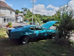 Grün Gebraucht 1971 Ford Mustang Fastback Coupé | 32.500 €