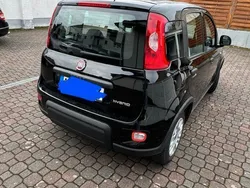 Schwarz Gebraucht 2023 Fiat Panda Kleinwagen | 10.000 € (Guter Preis)