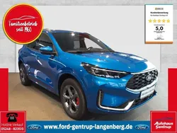 Blau Gebraucht 2024 Ford Kuga ST-Line X SUV | 46.950 €