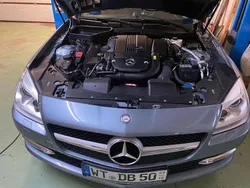 Grau Gebraucht 2011 Mercedes SLK200 Edition 1 Cabrio | 17.900 € (Fairer Preis)