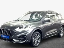 Grau Gebraucht 2024 Ford Kuga ST-Line SUV | 31.430 € (Superpreis)