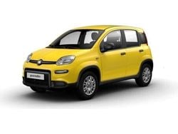 Gelb (gelb uni) Neu 2024 Fiat Panda Kleinwagen | 14.890 € (Fairer Preis)