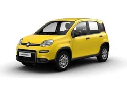 Gelb (gelb uni) Neu 2024 Fiat Panda Kleinwagen | 14.890 € (Fairer Preis)