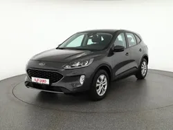 Rot Gebraucht 2019 Ford Kuga ST-Line SUV | 23.950 €