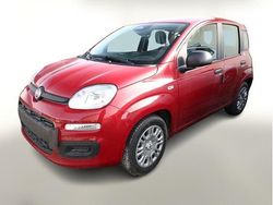 Passione rot Neu 2025 Fiat Grande Panda S Kleinwagen | 15.050 € (Fairer Preis)