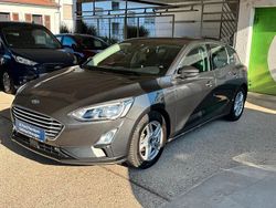 Grau Gebraucht 2019 Ford Focus Cool & Connect Limousine | 13.600 € (Fairer Preis)