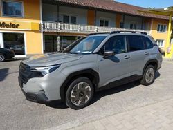 Grau Neu 2025 Subaru Forester Active SUV | 39.999 € (Guter Preis)