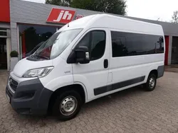 Weiß Gebraucht 2017 Fiat Ducato Van | 10.900 €