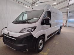 Weiß Gebraucht 2024 Opel Movano Van | 21.850 € (Fairer Preis)