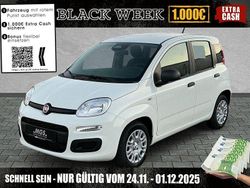 Gelato weiß Neu 2025 Fiat Panda Pop Kleinwagen | 14.950 € (Fairer Preis)