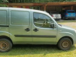 Schwarz Gebraucht 2009 Fiat Doblò Van / Kleinbus | 2.950 € (Superpreis)