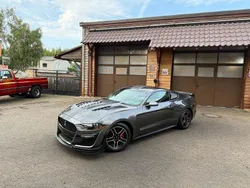 Grau Gebraucht 2017 Ford Shelby Premium | 30.900 €