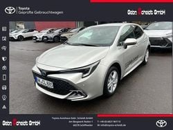 Grau Gebraucht 2023 Toyota Corolla Team Limousine | 26.255 € (Fairer Preis)