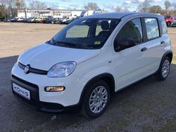 Gelato weiss (5ch) Gebraucht 2025 Fiat Panda Kleinwagen | 15.838 € (Etwas zu teuer)
